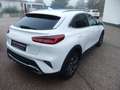 Kia XCeed 1.5 T-GDI OPF DCT7 VISION Wit - thumbnail 5