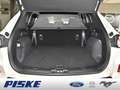 Ford Kuga PHEV VIGNALE AHK B&O Alu 20 Zoll PANO Wit - thumbnail 21