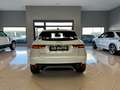 Jaguar E-Pace E-Pace 2.0 i4 mhev HSE awd 200cv auto - thumbnail 5