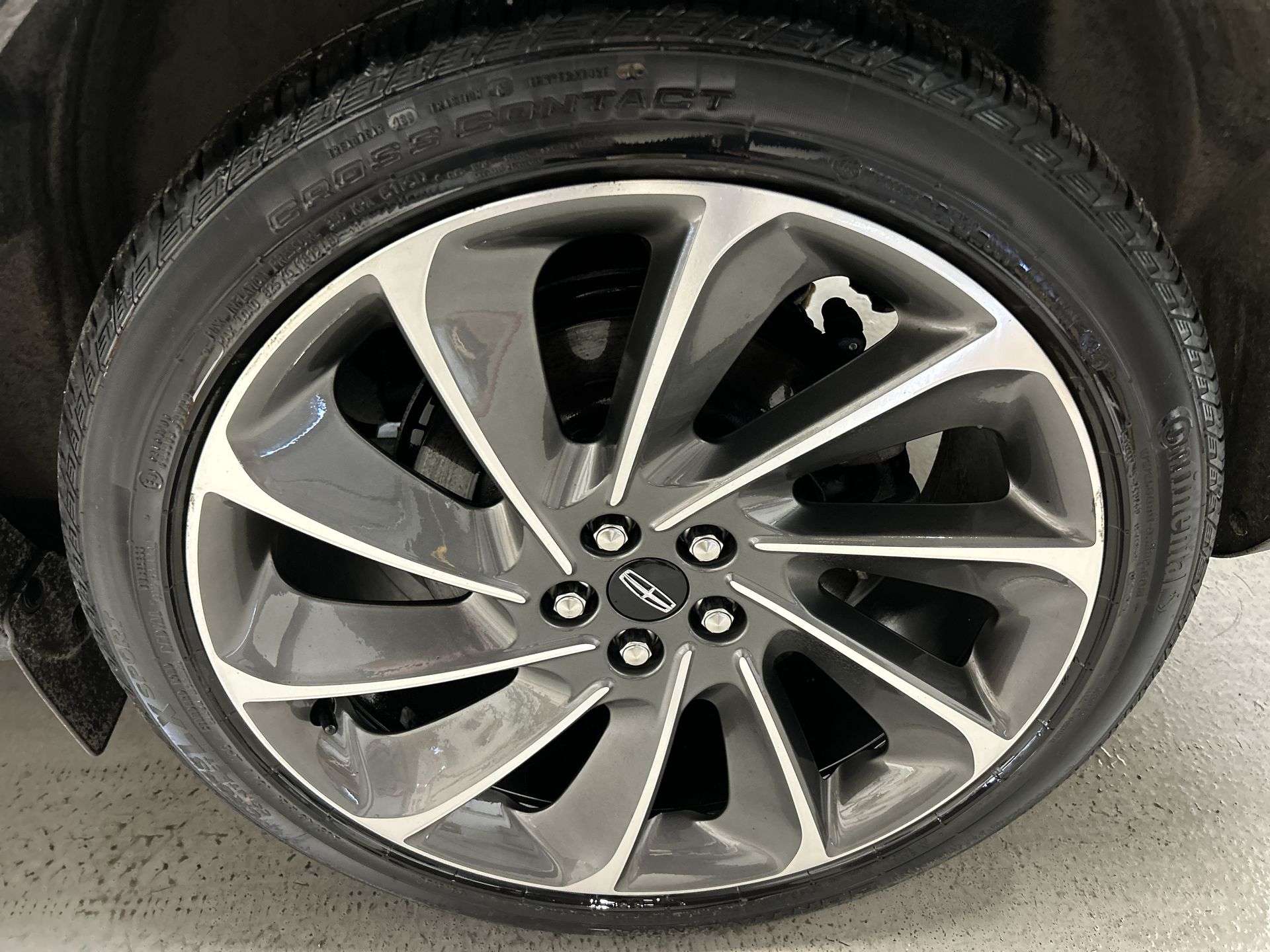 Image 7