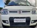 Fiat Panda Panda 1.3 mjt 16v Climbing 4x4 75cv White - thumbnail 1