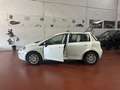 Fiat Punto 1.3Mjt Pop E5+ Wit - thumbnail 13