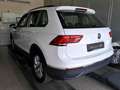 Volkswagen Tiguan 2.0TDI Life DSG 4Motion NAVI APP ACC AHK Weiß - thumbnail 5