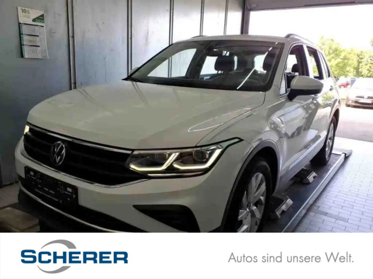Volkswagen Tiguan 2.0TDI Life DSG 4Motion NAVI APP ACC AHK Weiß - 1