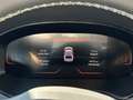 SEAT Ibiza 1.0 TSI Road Edition Navi PDC Shz Kessy LED 15Alu Grau - thumbnail 9