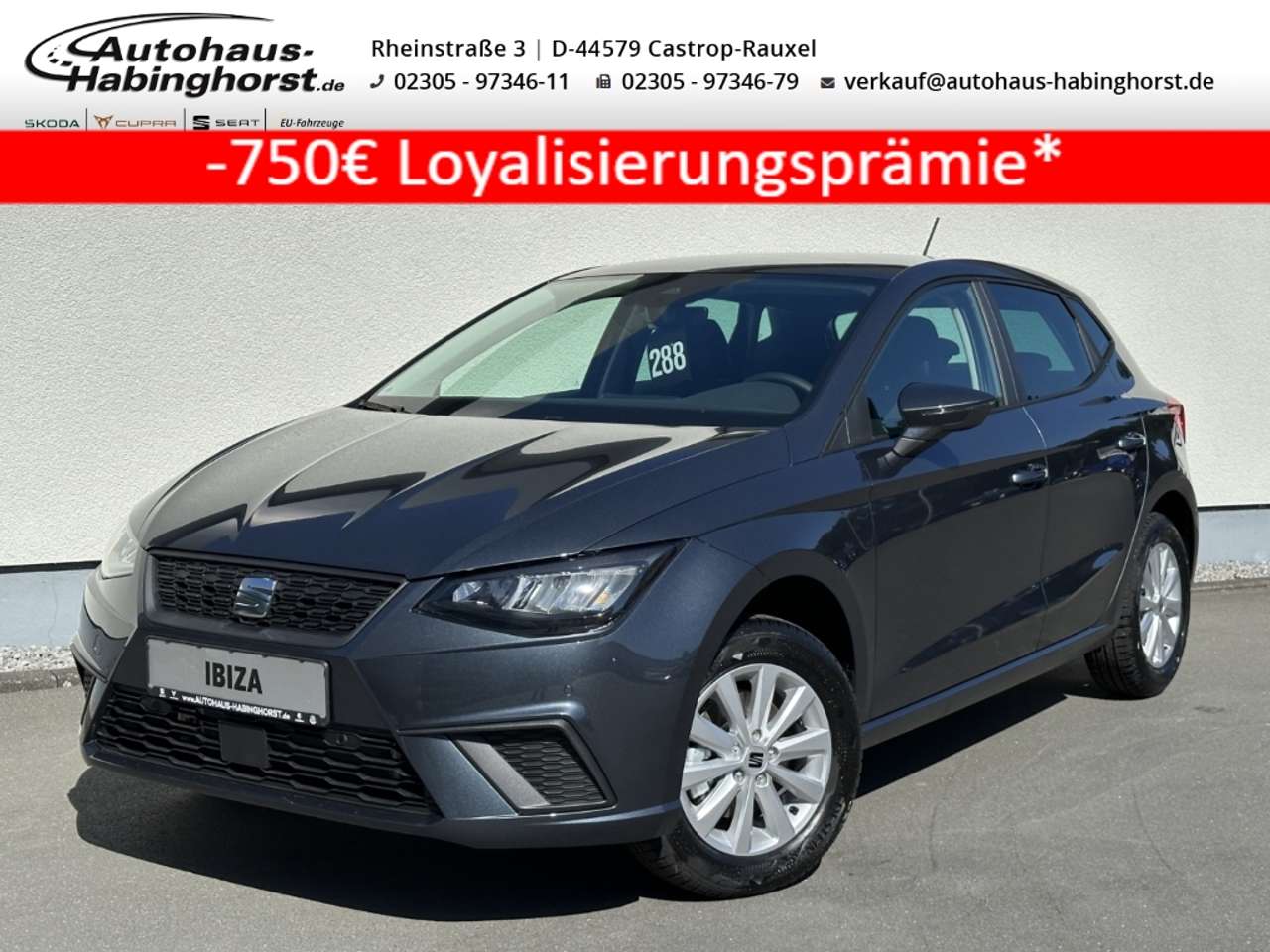 Seat Ibiza 2025 — 1.0 TSI Road Edition Navi PDC Shz Kessy LED 15Alu