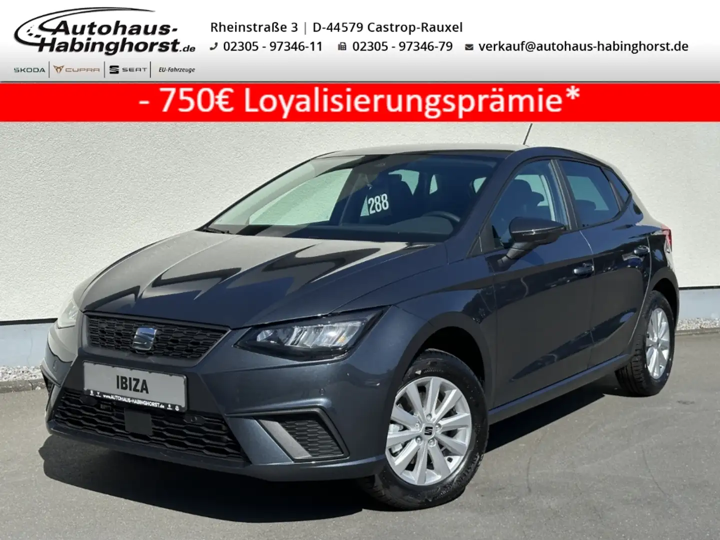 SEAT Ibiza 1.0 TSI Road Edition Navi PDC Shz Kessy LED 15Alu Grau - 1