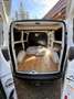 Ford Transit Custom Variobus 2,0 TDCI L1H1 310 Ambiente - thumbnail 1