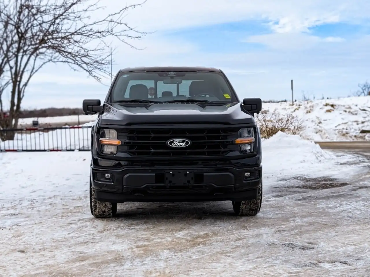 Ford F 150 photo Ford F 150