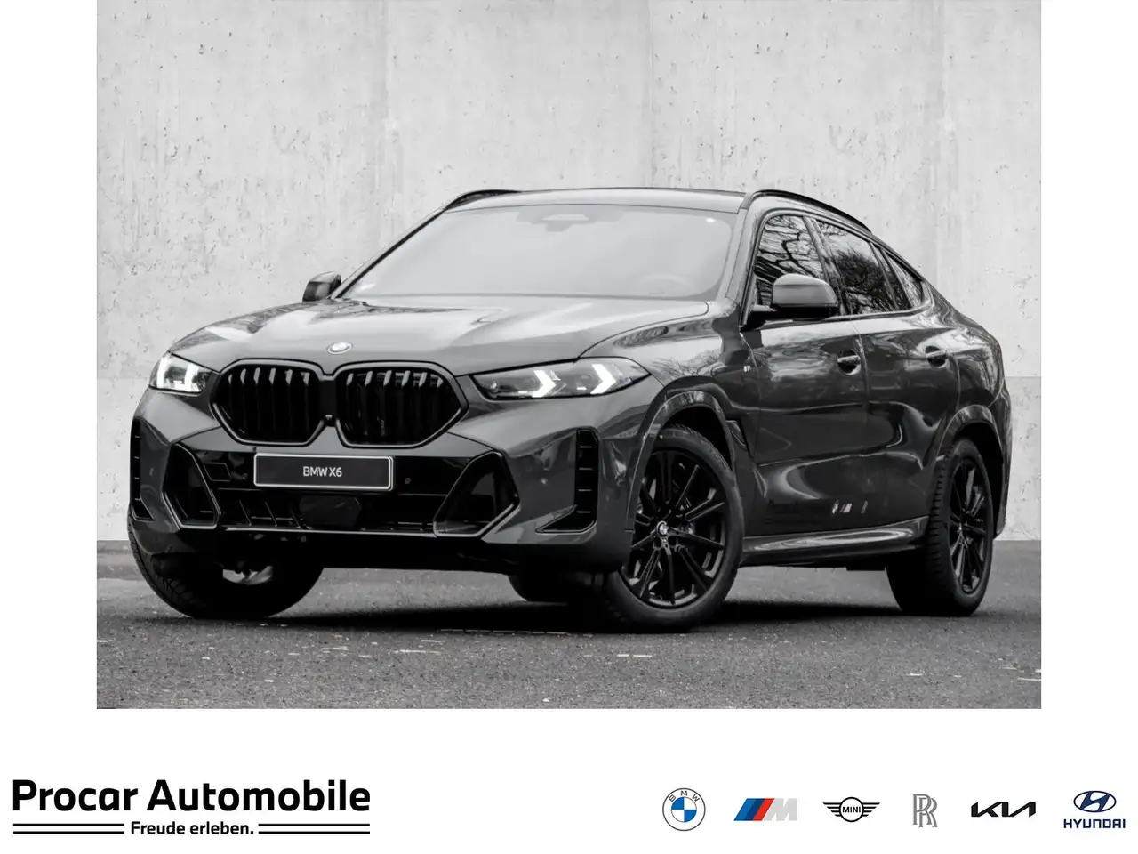 BMW X6 xDrive40d M Sportpaket * Bowers & Wilkins Sound Sy
