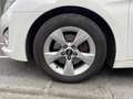 Hyundai i40 1.7 CRDi 115 Blue Drive Pack Business / BI-ZONE Biały - thumbnail 10