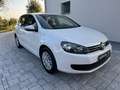 Volkswagen Golf Golf VI 1.4 United 80cv OK NEOPATENTATI Wit - thumbnail 8