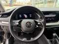 Skoda Octavia Ambition TDI Schwarz - thumbnail 3