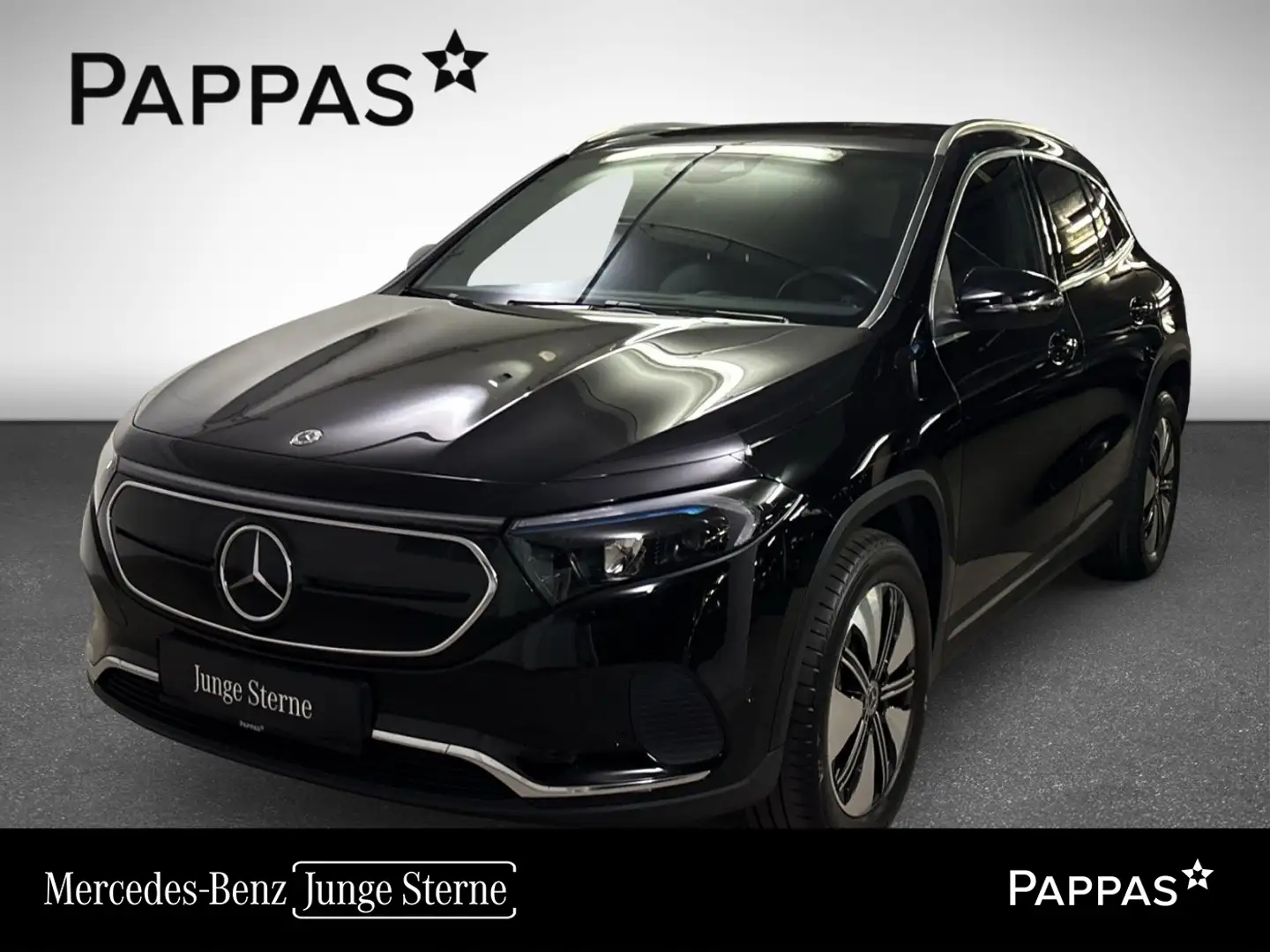 Mercedes-Benz EQA 250 Cam Distr PTS Navi AUT Wide LED SHZ Noir - 1
