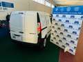 Renault Kangoo Splendido kangoo /2020 iva inclusa Blanc - thumbnail 17