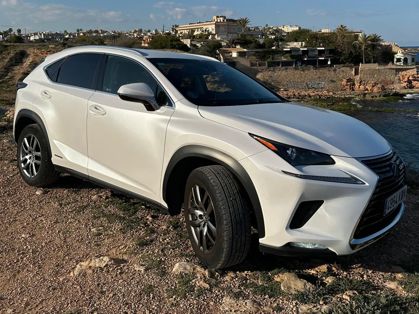 Lexus NX 300h NX 300h Executive Navigation 4WD Blanc - 1