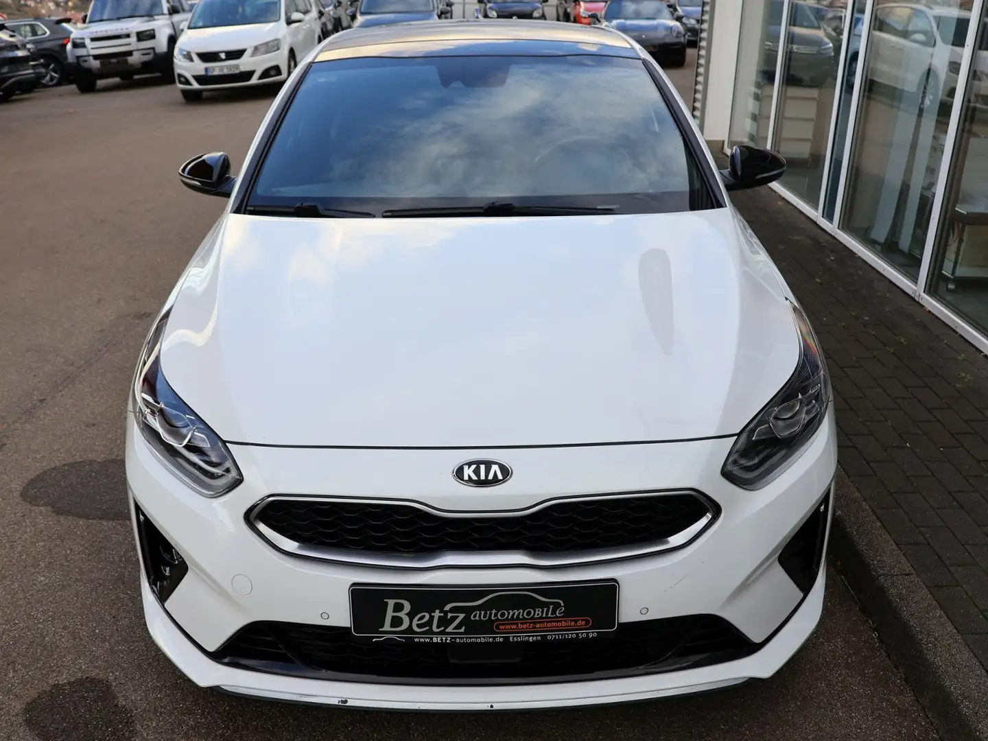 Kia ProCeed / pro_cee'd GT-Line Pano RFK PDC SHZ Weiß - 2