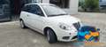 Lancia Ypsilon 1.2 69 CV Argento Blanco - thumbnail 6