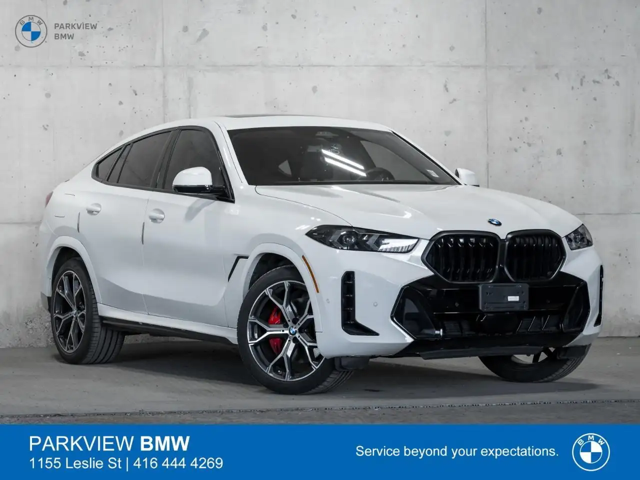 2024 BMW X6
