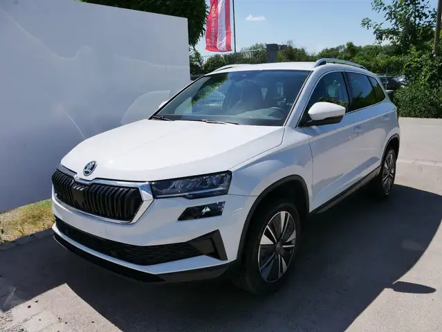 Skoda Karoq main image