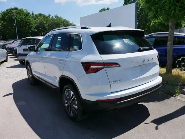 Skoda Karoq view 8