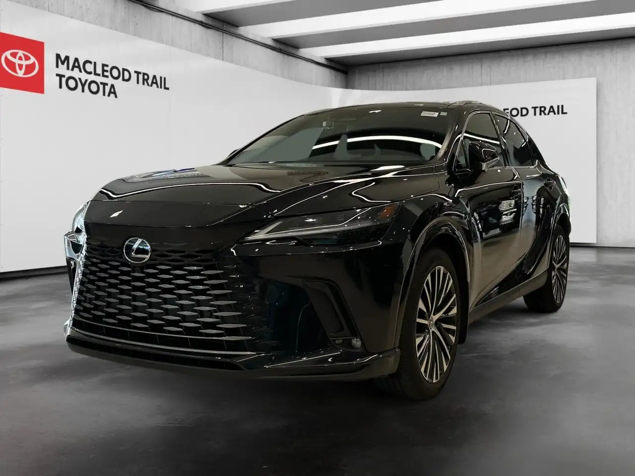 2025 Lexus RX