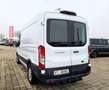 Ford Transit Kasten 350 L2H2 AUTOMATIK AHK KAMERA Weiß - thumbnail 4