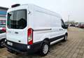 Ford Transit Kasten 350 L2H2 AUTOMATIK AHK KAMERA Weiß - thumbnail 3