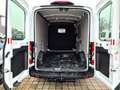 Ford Transit Kasten 350 L2H2 AUTOMATIK AHK KAMERA Weiß - thumbnail 9