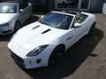 Jaguar F-Type Cabriolet 3.0 V6 Aut. S Leder Xenon Navi Rückfa Weiß - thumbnail 6