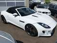 Jaguar F-Type Cabriolet 3.0 V6 Aut. S Leder Xenon Navi Rückfa Weiß - thumbnail 21