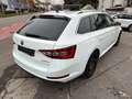 Skoda Superb 2.0 TDI Combi Style/Navi/Xenon/ACC Blanco - thumbnail 5