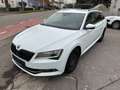 Skoda Superb 2.0 TDI Combi Style/Navi/Xenon/ACC Blanco - thumbnail 2