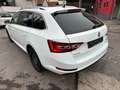 Skoda Superb 2.0 TDI Combi Style/Navi/Xenon/ACC Blanco - thumbnail 4