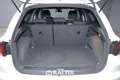 SEAT Arona 1.0 TGI 90CV FR Bianco - thumbnail 6