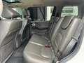 Nissan Pathfinder 2.5dCi LE A/T Blanco - thumbnail 15
