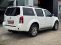 Nissan Pathfinder 2.5dCi LE A/T Blanco - thumbnail 8