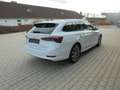 Skoda Octavia First Edition*SHZ v+h*WSS beheizt*NAVI*KESSY*RFK* Weiß - thumbnail 5