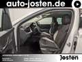 Skoda Scala Tour 1.5TSI Matrix-LED Navi digital Cockpit Parkle Weiß - thumbnail 7