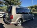 Volkswagen Caddy 1.4 TGI Highline Maxi 7p Oro - thumbnail 5