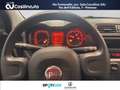 Fiat Panda 1.0 FireFly S&S Hybrid City Life MY24 Blu/Azzurro - thumbnail 14