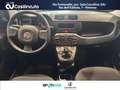 Fiat Panda 1.0 FireFly S&S Hybrid City Life MY24 Blu/Azzurro - thumbnail 11