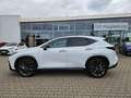 Lexus NX 350h E-Four F Sport LED, Pano, HUD, Kamera Weiß - thumbnail 5