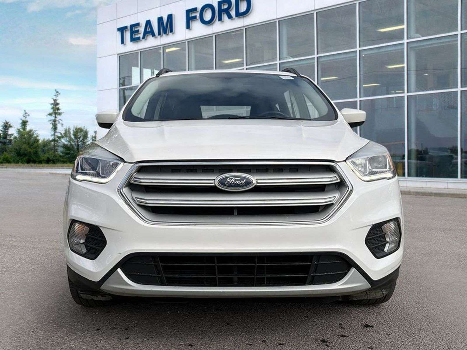 2018 Ford Escape SEL, 1.5L ECOBOOST ENG, CANADIAN TOURING PACKAGE, — снимка 1