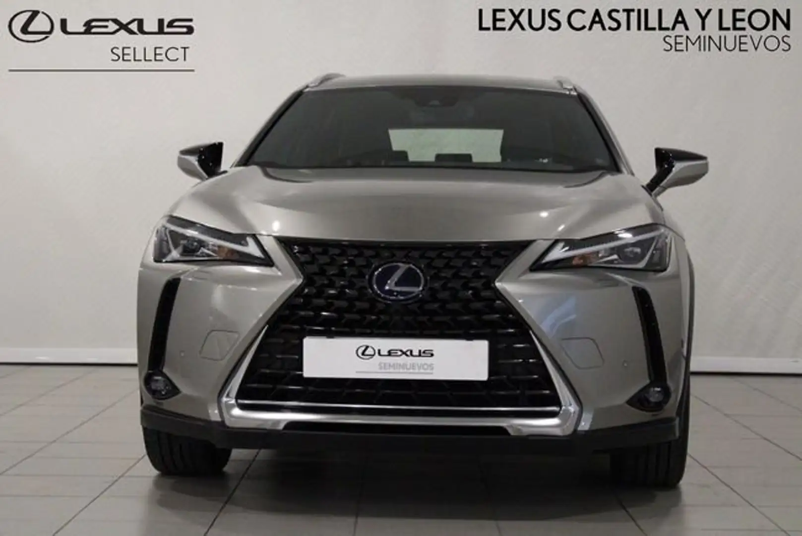 Lexus UX 250h Premium 4WD Gris - 2