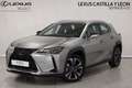 Lexus UX 250h Premium 4WD Gris - thumbnail 1