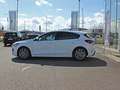 Ford Focus ST-Line X 1,0 EcoBoost 125PS, 1,99% LEASING AKTION Blanc - thumbnail 3