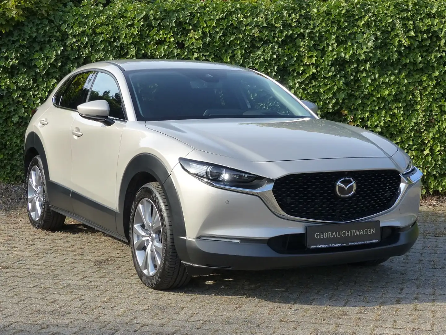Mazda CX-30 SKYACTIV-G 122PS SELECTION + DESIGN-P. + PREMIUM-P Argent - 2