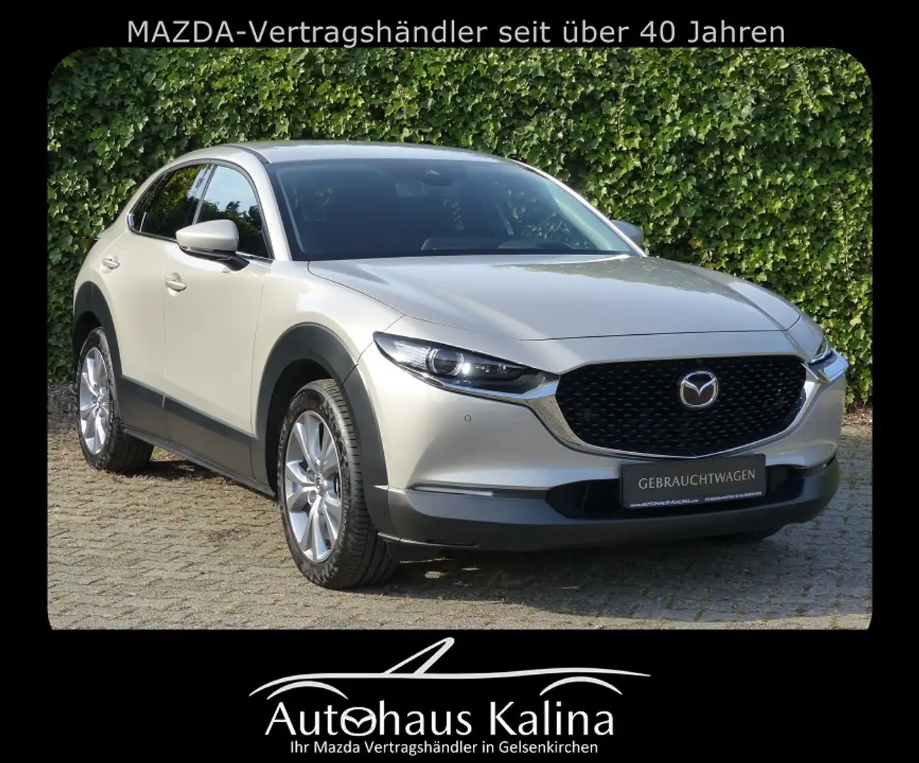 Mazda CX-30 SKYACTIV-G 122PS SELECTION + DESIGN-P. + PREMIUM-P Argent - 1