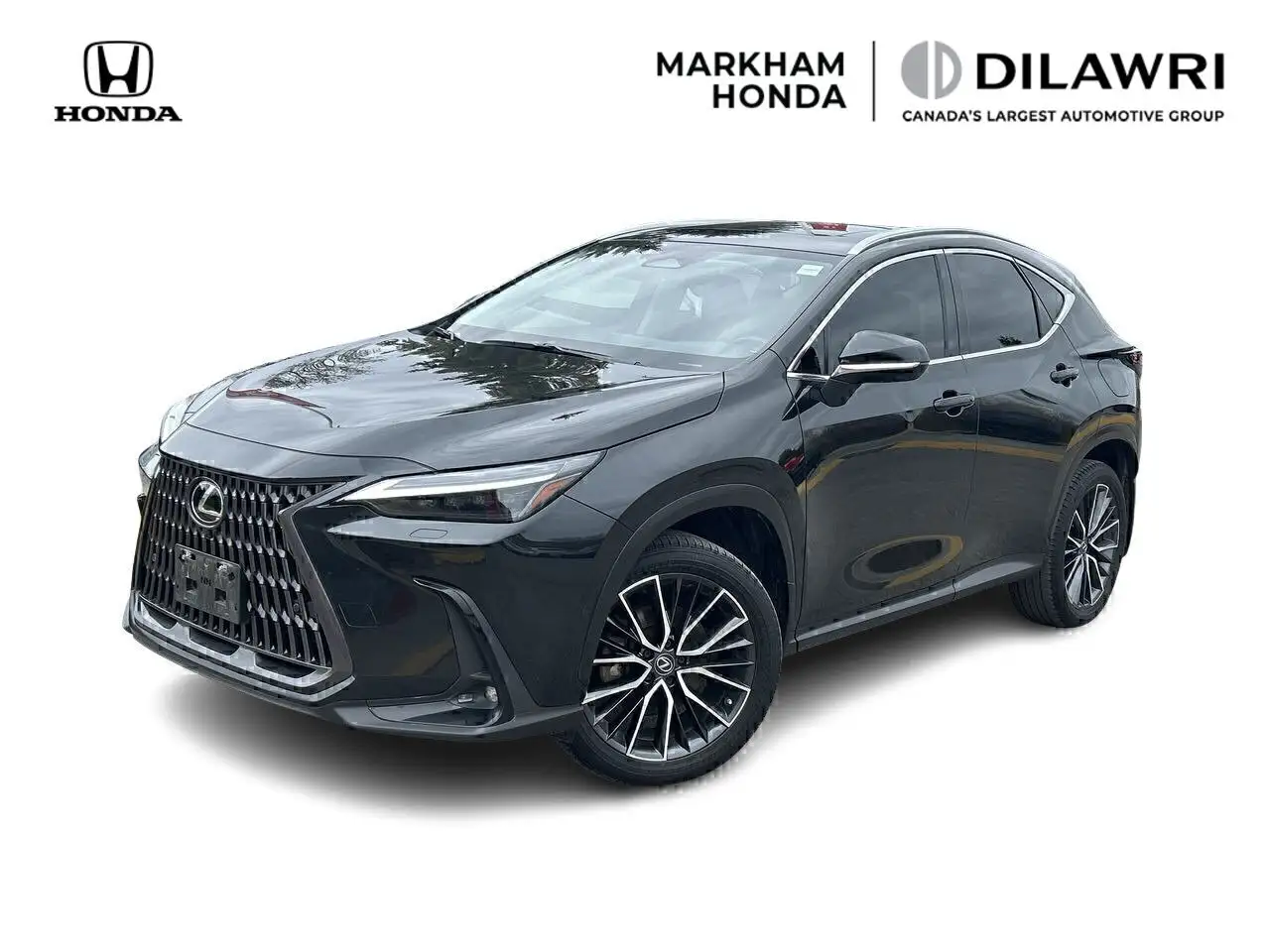 2022 Lexus NX